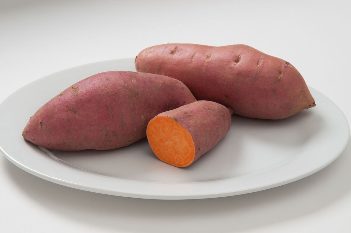 Mahon Yam- Organic Sweet Potato Seed